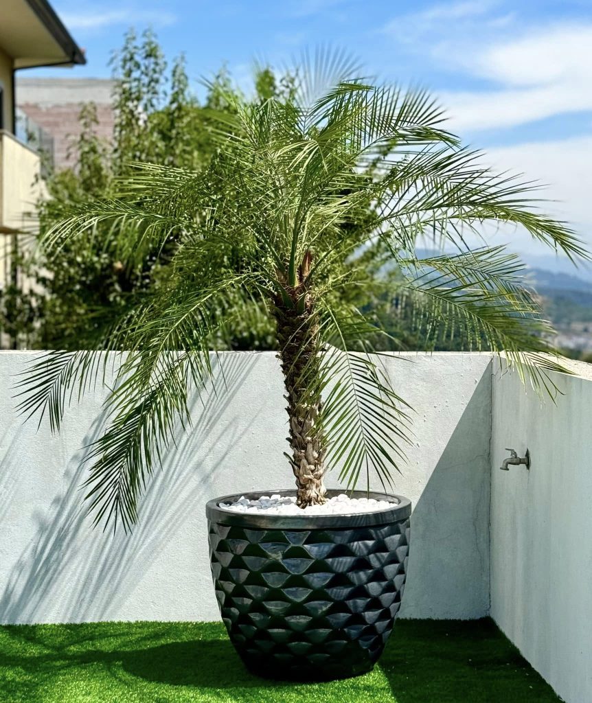 487532526 1108867091253962 4123111269555729099 n