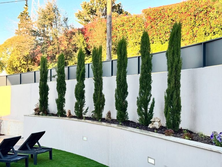 487823516 18159779839355380 1409670380328440630 n