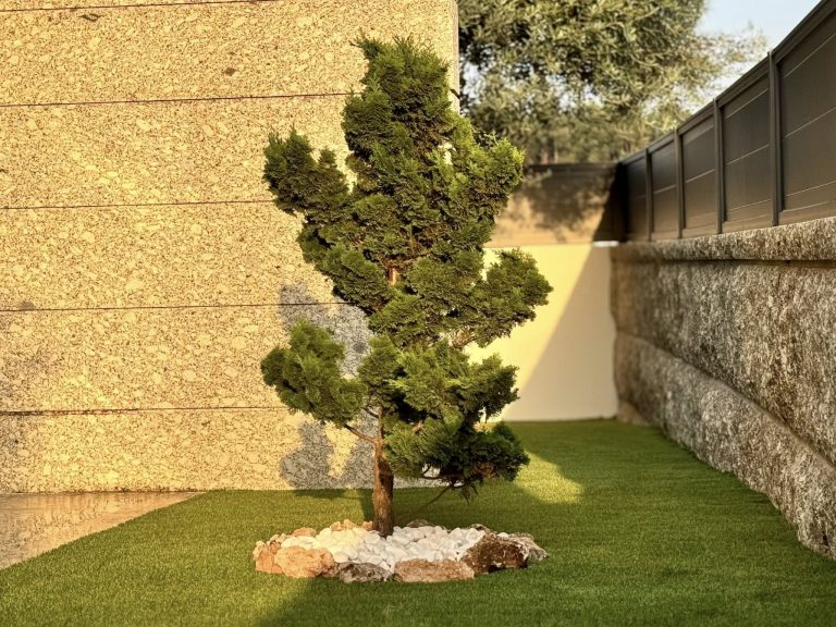 529698752 1214571494016854 9078678585333120402 n