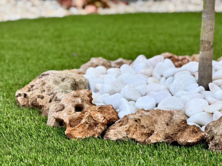 532250829 1218671620273508 3808231643983528875 n