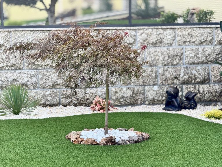 534595534 1218672463606757 2401680599073685018 n