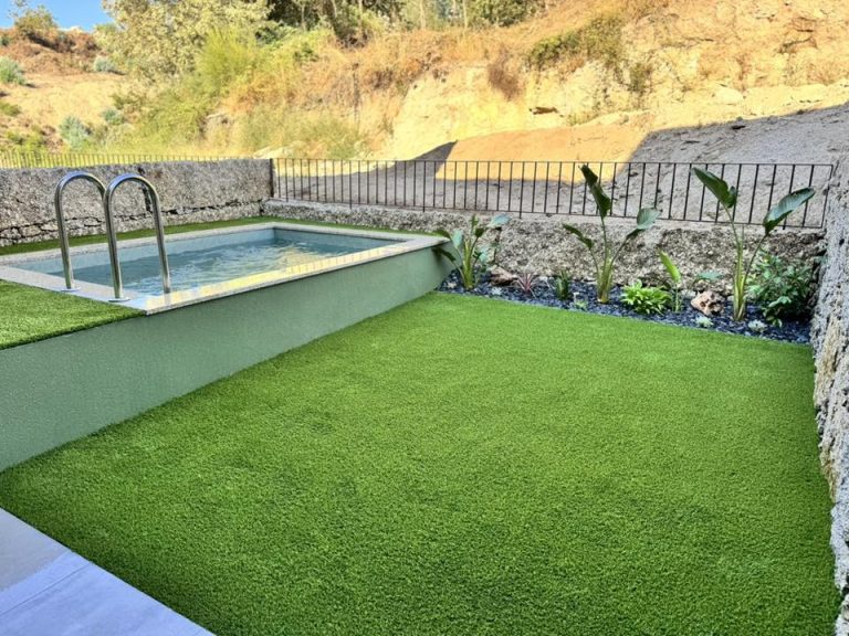 540578061 1229215365885800 9177982320060871872 n