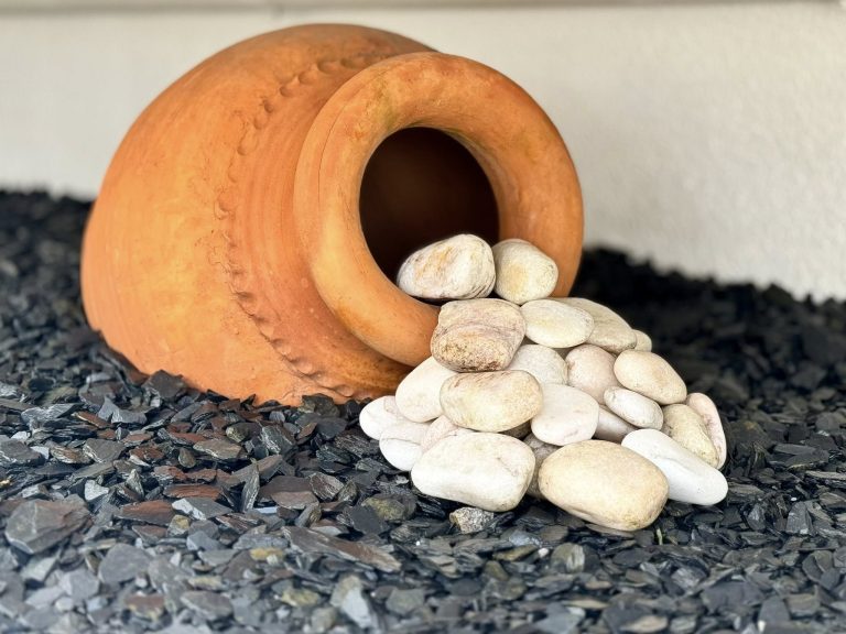 540982084 1230888722385131 8660254590468792032 n